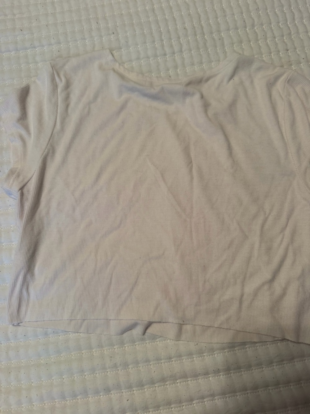 Talentless Baby Tee - Picture 3 of 3